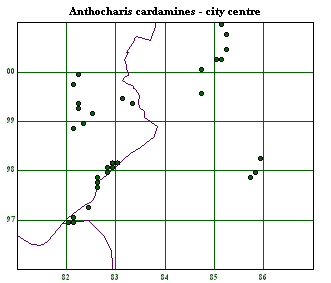 City centre