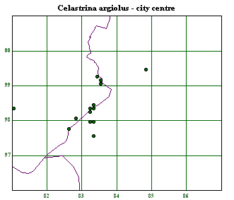 City centre