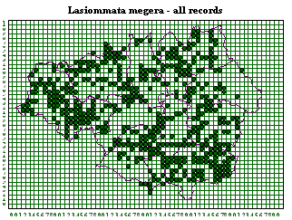 All records since 1980