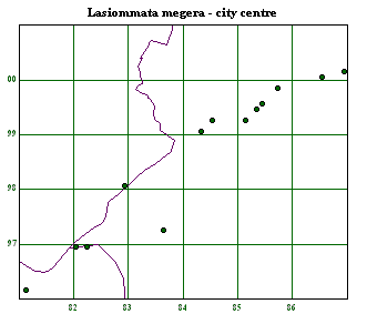 City centre