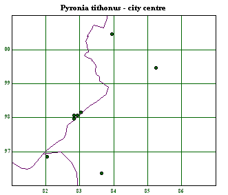 City centre