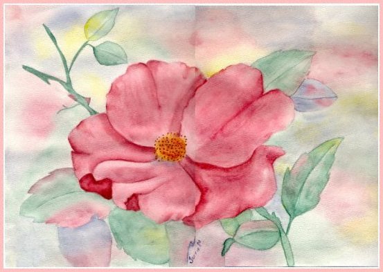 Wild Rose