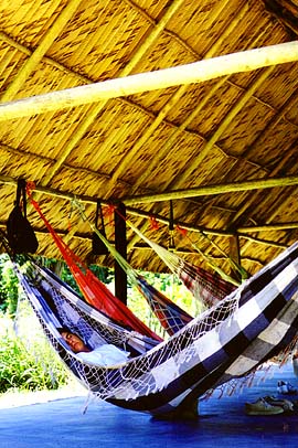 Colorful Hammocks