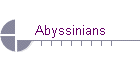 Abyssinians