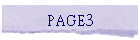 PAGE3