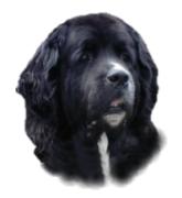 Blaze will take you to the "Working Newfs" site!
