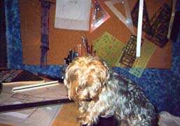 Rowdy is the real designer in this family, & he says the color of the next decade is BLUE!