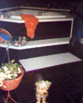 Jeff laid the tile & did all the work himself.  I did the paint/paper & decorating.