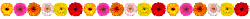 gerbera_divider