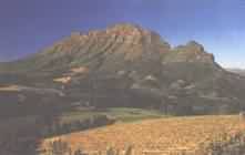  the view from the winery