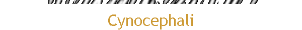 Cynocephali