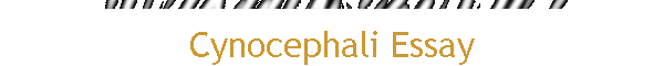 Cynocephali Essay