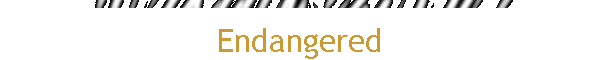 Endangered