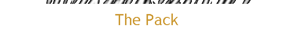 The Pack