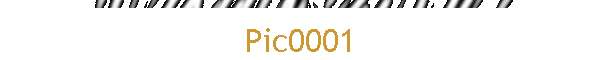 Pic0001