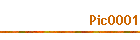 Pic0001