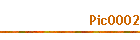 Pic0002