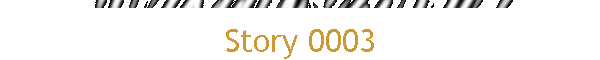 Story 0003