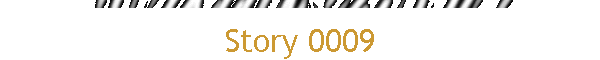 Story 0009