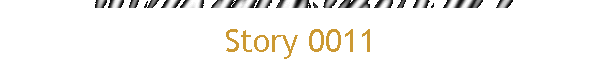 Story 0011