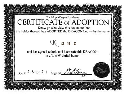 Kane's Adoption Cert