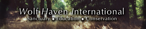 Wolf Haven International ... Working for Wolf Conservation