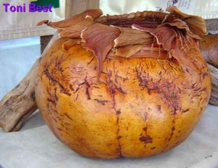 Toni Best as shown at LA Gourd 2003