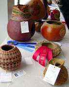 Special Talent Woven Category