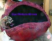 Sue Winters-Brown