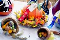 Thanksgiving Category