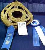 Margaret Shingler's award-winning gourd...won first place at both Florida and Indiana state gourd shows! Go to her website to see more!