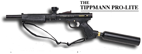 pro.gif (23268 bytes)