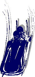 Parnassos8.gif (3592 bytes)