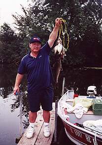 fish