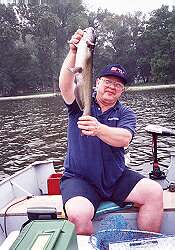 catfish