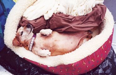 sleep