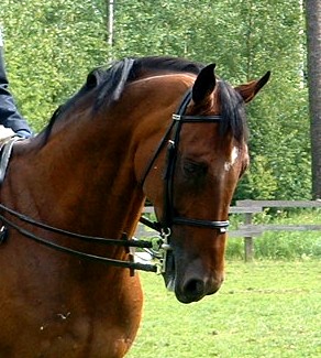  Kylmnkukka