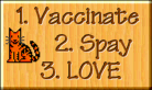 the top 3 rules for ethical cat care
