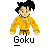 gokusuit.gif (1094 bytes)