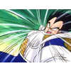 vegeta3_small.jpg (2919 bytes)