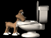 dogdrinkingtoiletblk.gif (7103 bytes)