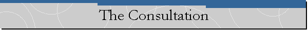 The Consultation