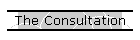 The Consultation