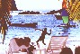 The beach