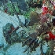 Langosta