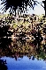  Cenote en Xel Ha