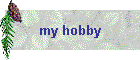 my hobby