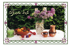 Fruits-Flowers