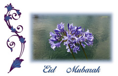 water-flower