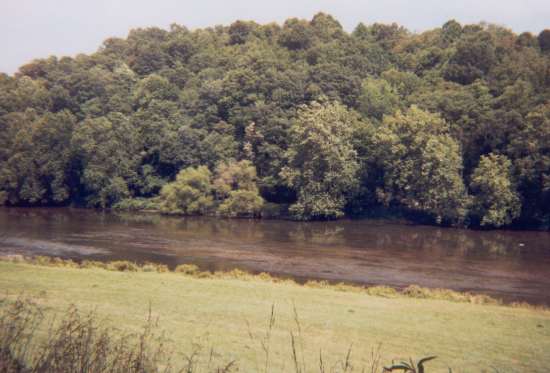 New River Pictures No. 5